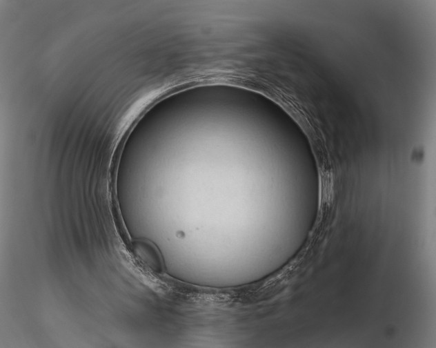 X0000116320147200912151250