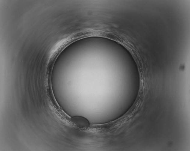 X0000116320149200912151250