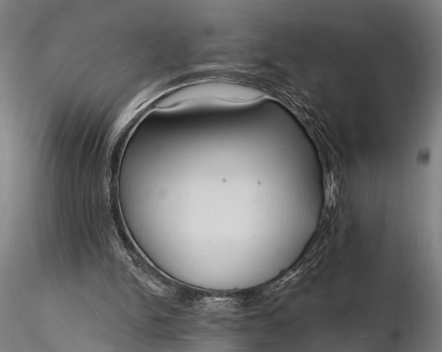 X0000116320150200912151250