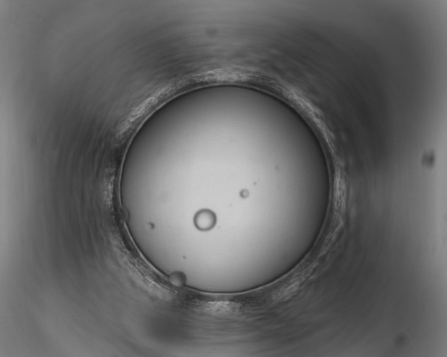 X0000116320153200912151250