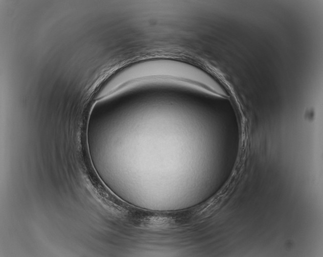 X0000116320154200912151250