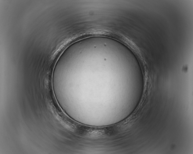 X0000116320155200912151250