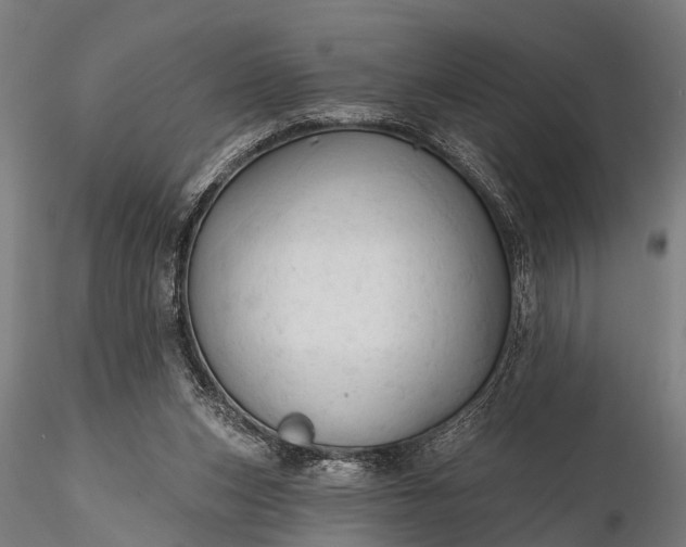 X0000116320159200912151250