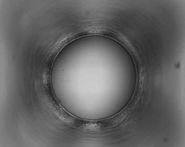 X0000116320161200912151250