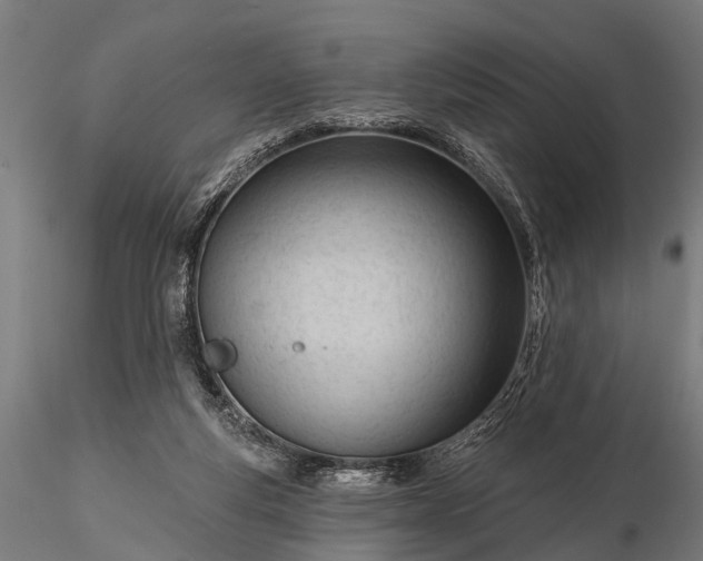 X0000116320163200912151250