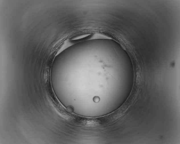 X0000116320165200912151250