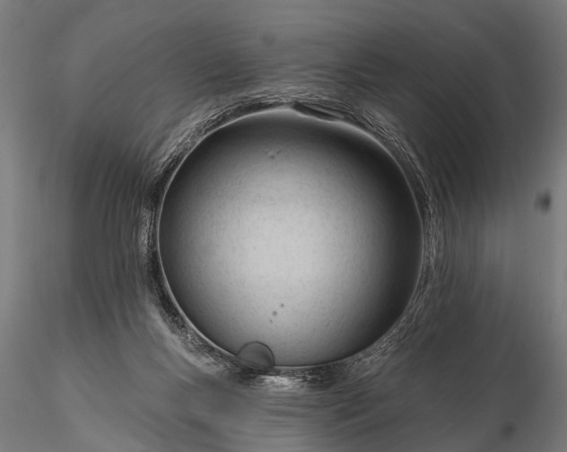 X0000116320167200912151250