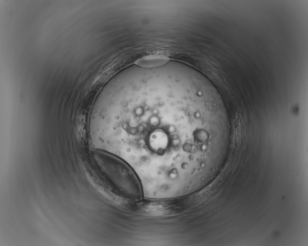 X0000116320171200912151250