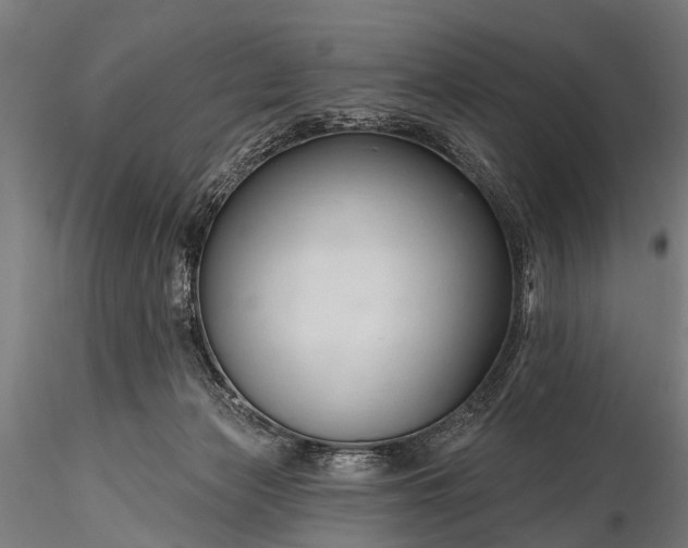 X0000116320173200912151250