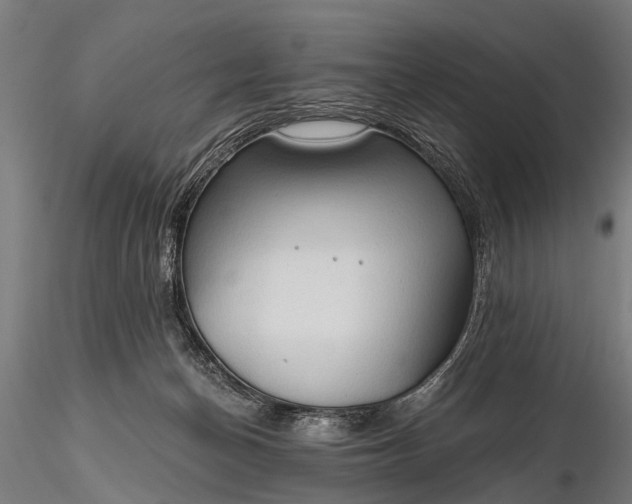 X0000116320174200912151250