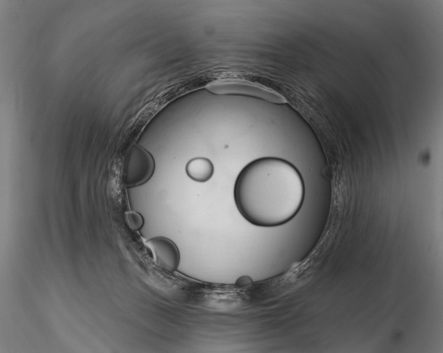 X0000116320175200912151250