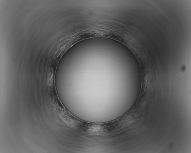 X0000116320177200912151250