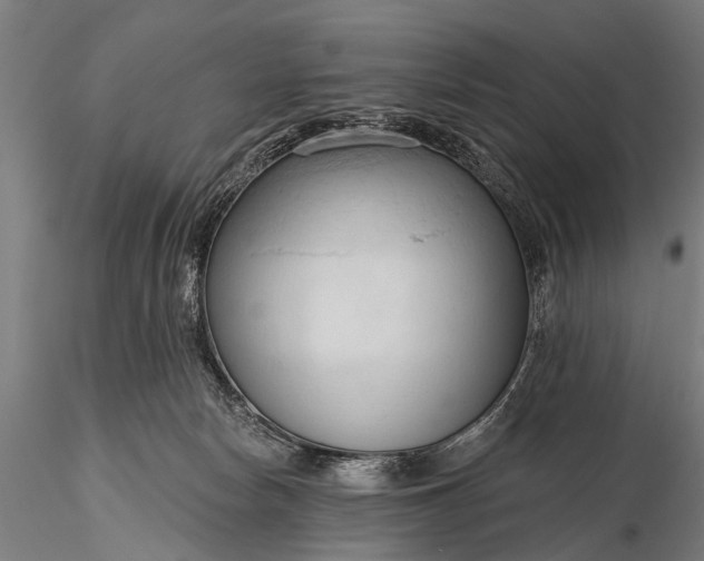 X0000116320178200912151250