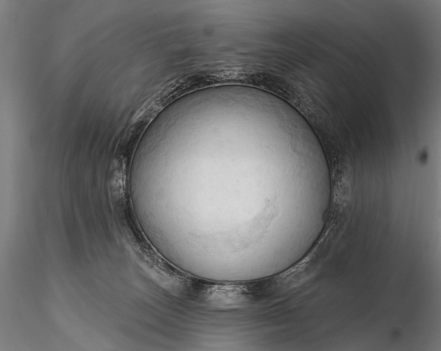 X0000116320179200912151251