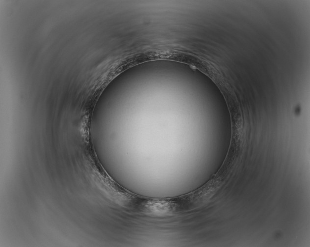 X0000116320181200912151251