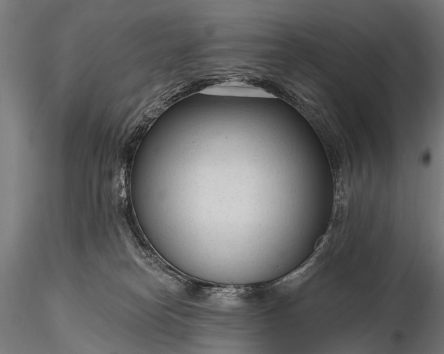 X0000116320182200912151251