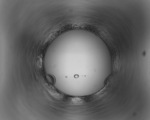 X0000116320183200912151251