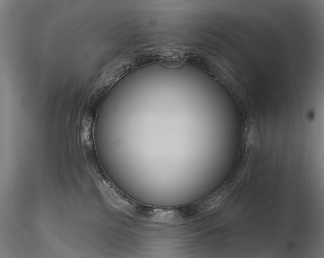 X0000116320185200912151251