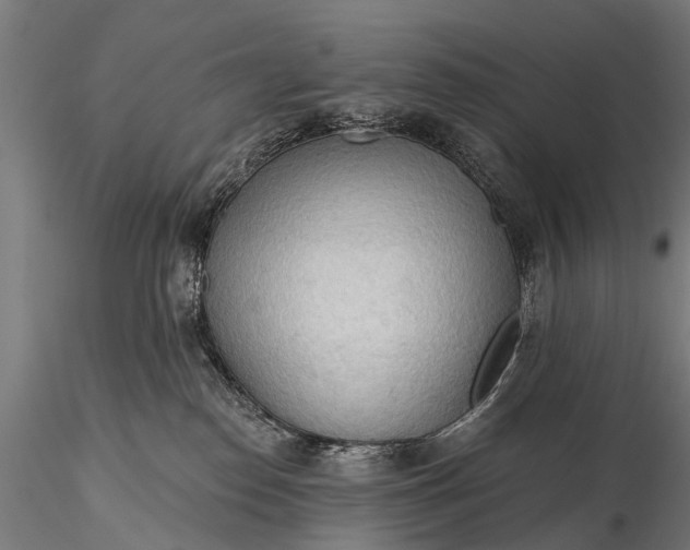 X0000116320186200912151251