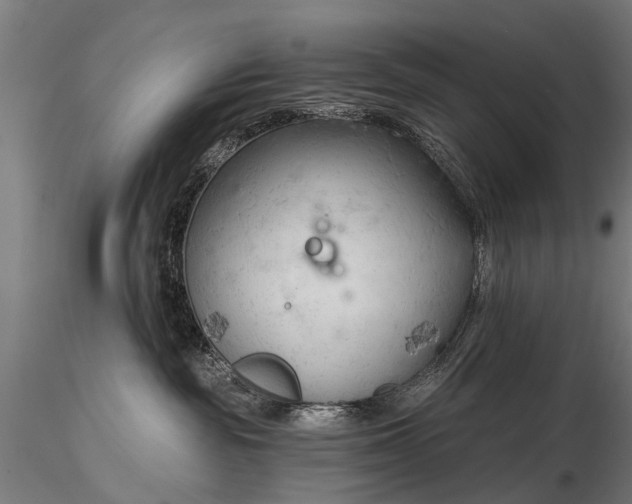 X0000116320189200912151251