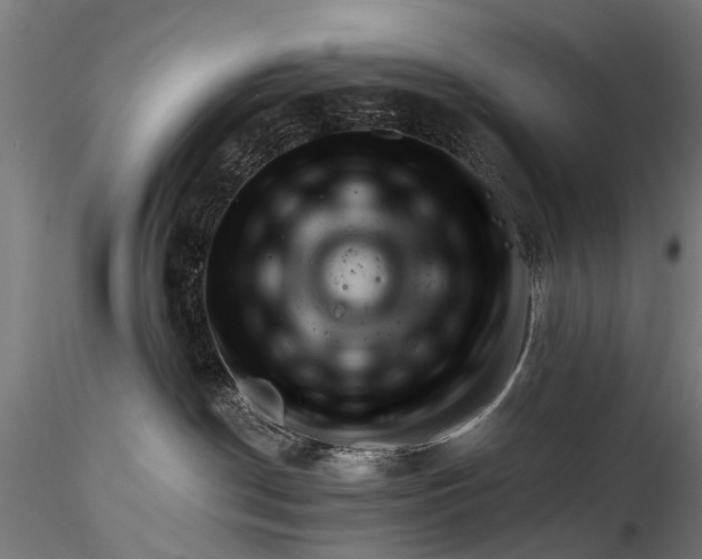 X0000116320190200912151251