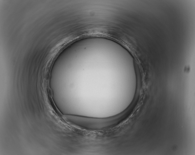 X0000116320193200912151250