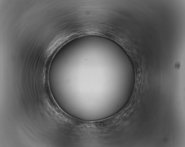 X0000116320194200912151250