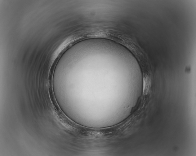 X0000116320195200912151250