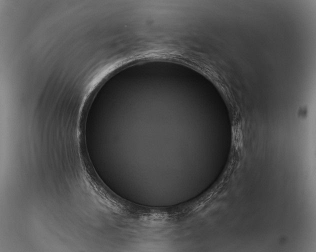 X0000116320196200912151250