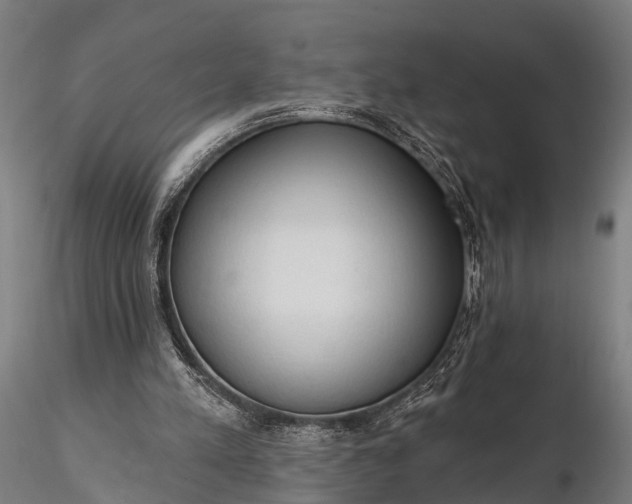 X0000116320197200912151250