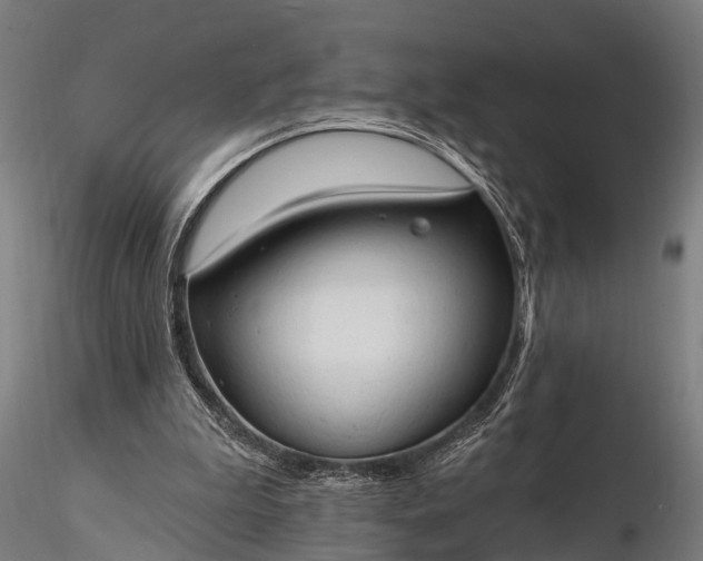 X0000116320199200912151250