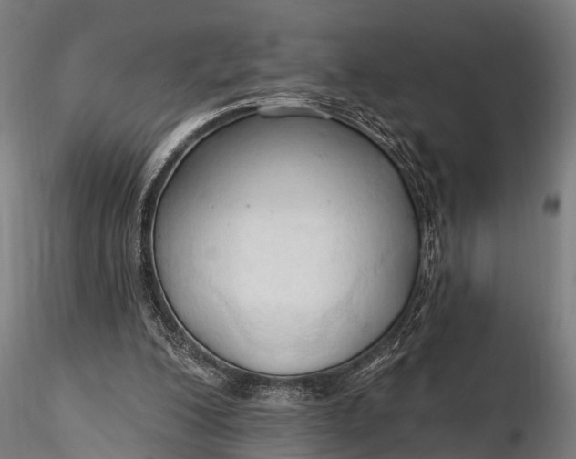 X0000116320200200912151250