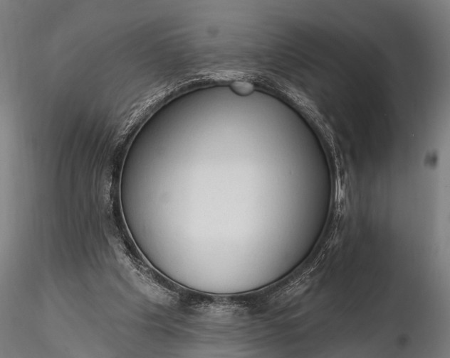 X0000116320201200912151250