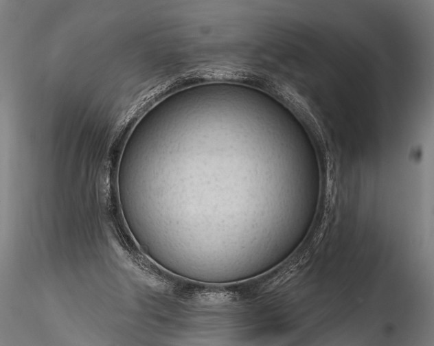 X0000116320202200912151250