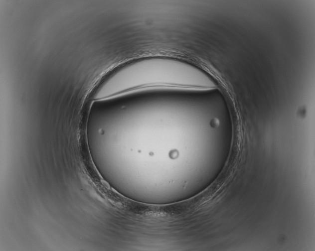 X0000116320203200912151250