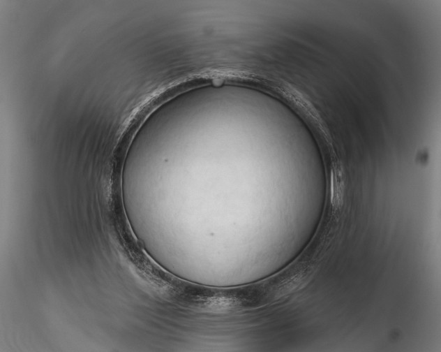 X0000116320204200912151250