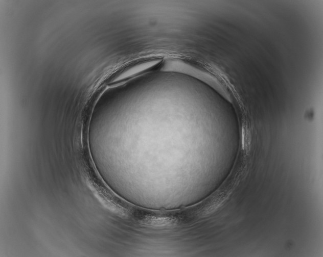 X0000116320205200912151250