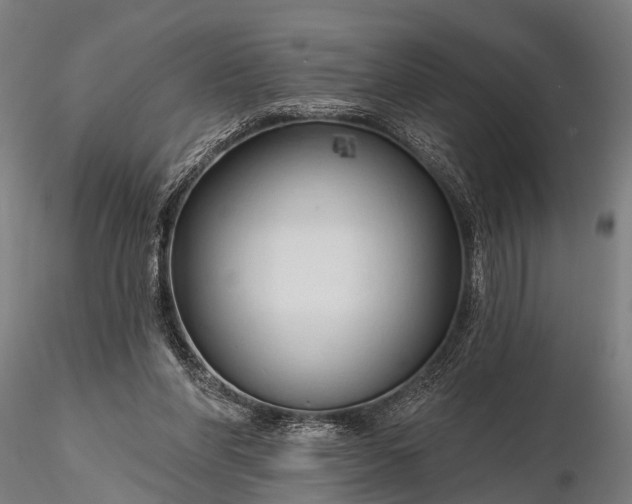 X0000116320206200912151250