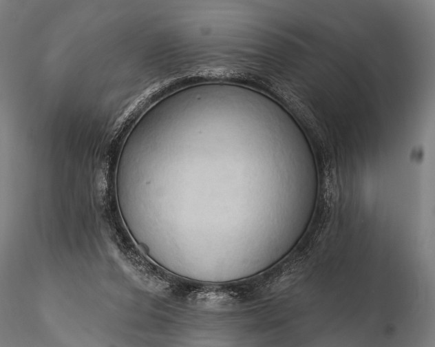 X0000116320208200912151250