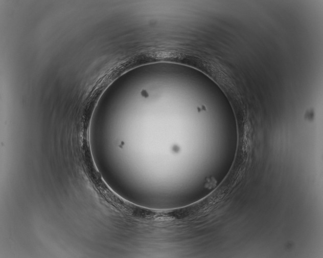 X0000116320210200912151250