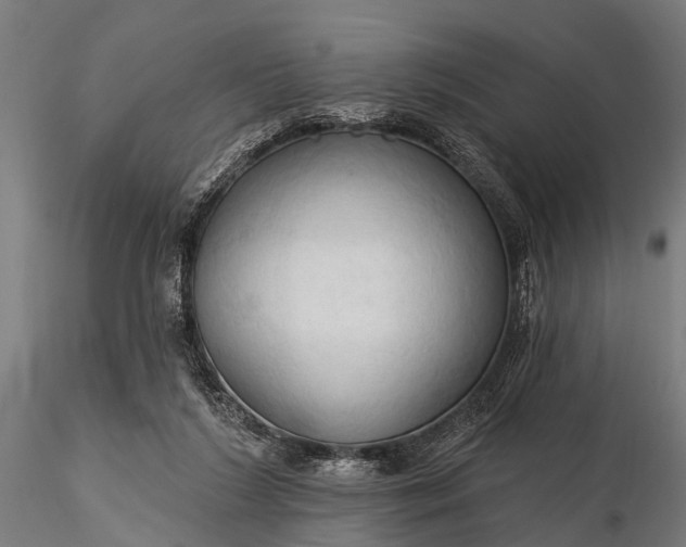 X0000116320212200912151250