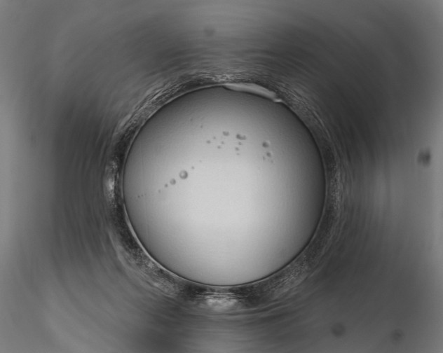 X0000116320214200912151250