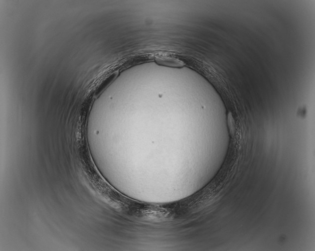 X0000116320215200912151250