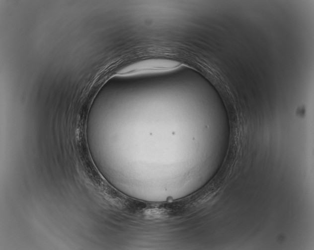 X0000116320216200912151250