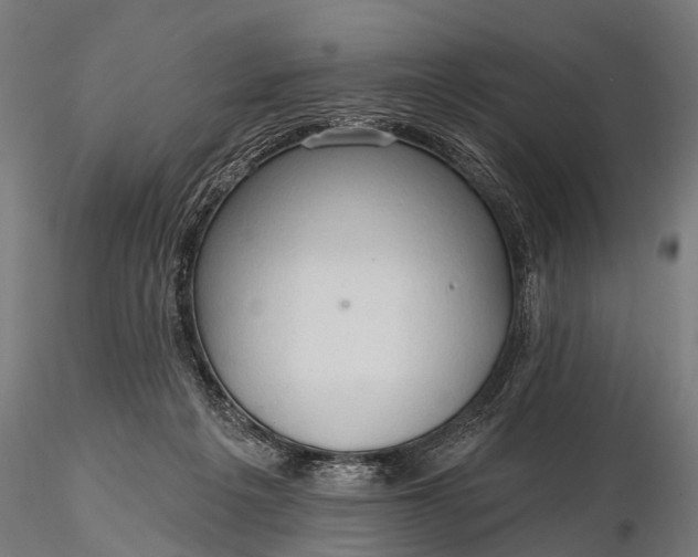 X0000116320217200912151250