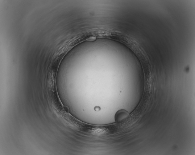 X0000116320218200912151250