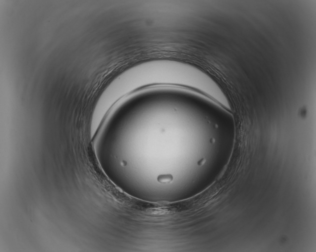 X0000116320219200912151250