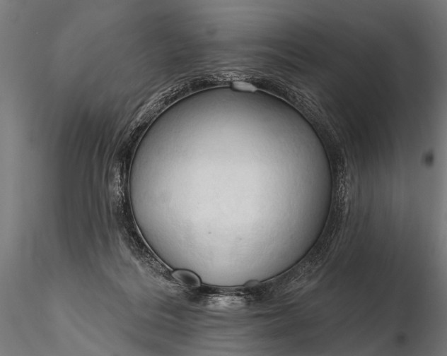 X0000116320220200912151250