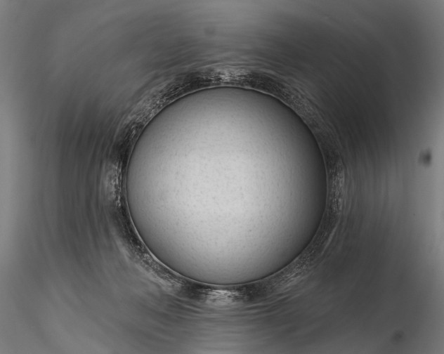 X0000116320222200912151250