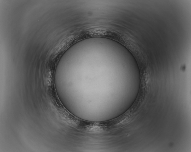 X0000116320224200912151250